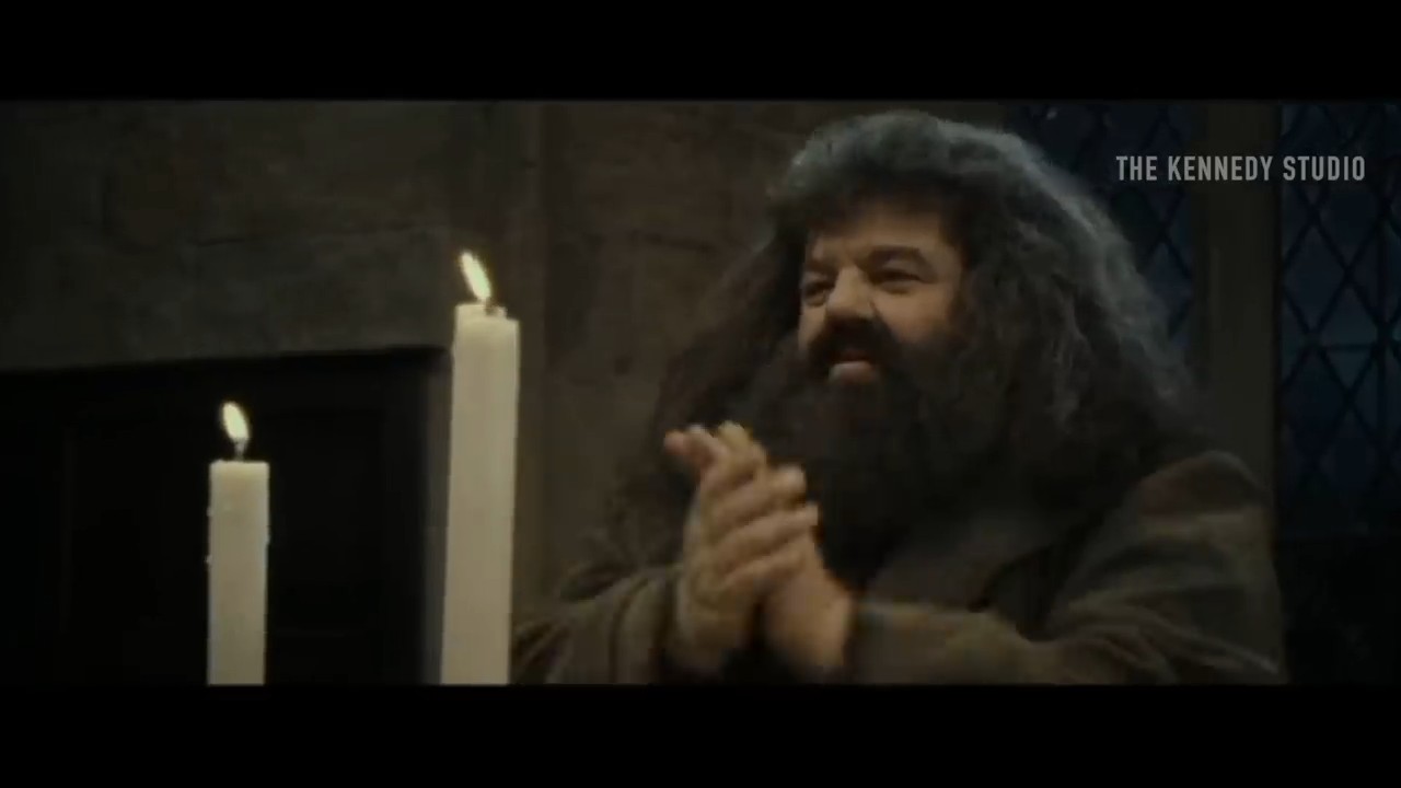 Severus Snape _ Anything _ Another Love